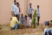 Shafi Public School-Tree Plantation